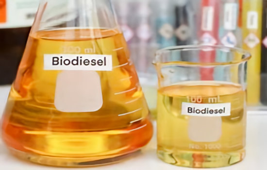 was ist Biodiesel