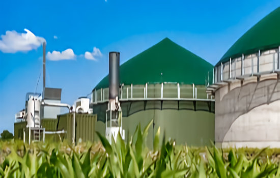 bioenergie strom verbraucht